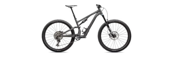 Stumpjumper 15 Comp Alloy Gloss Smoke / Cool Grey